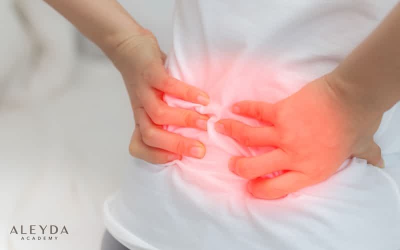 Enhancing Employee Well-being: The Role of Workplace Wellness Programmes in Addressing Workplace-Related Musculoskeletal Disorders